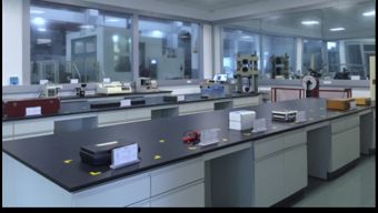 保一集團檢測中心順利通過CNAS現(xiàn)場評審，助力飼料添加劑生產(chǎn)質(zhì)量提升