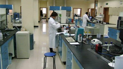 江蘇世通儀器檢測服務(wù)在飼料添加劑生產(chǎn)中的關(guān)鍵作用